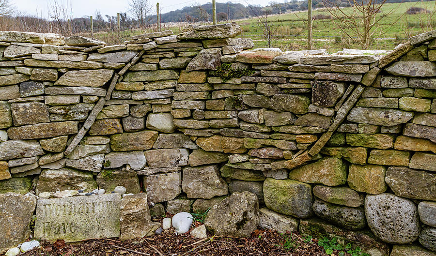 Worbarrow Wave Dry Wall Photograph by Shirley Mitchell