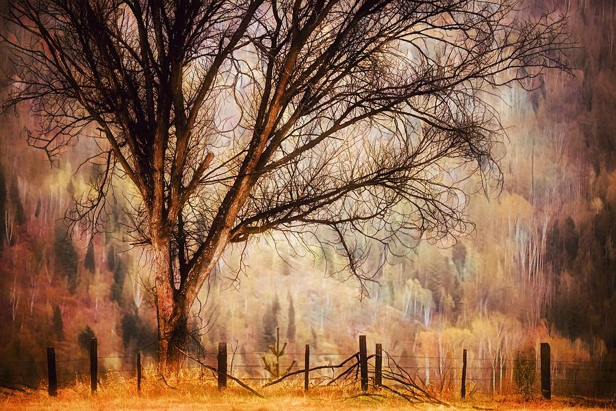 Warmth Photograph by Ursula Abresch