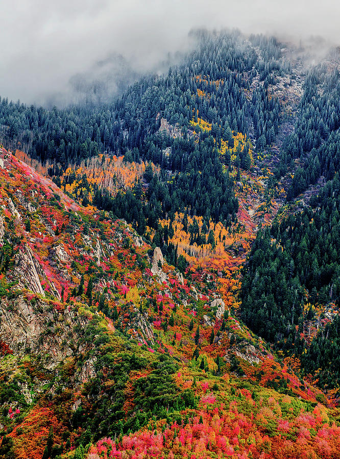 Wasatch Colors - Vertical Photograph by Abbie Warnock