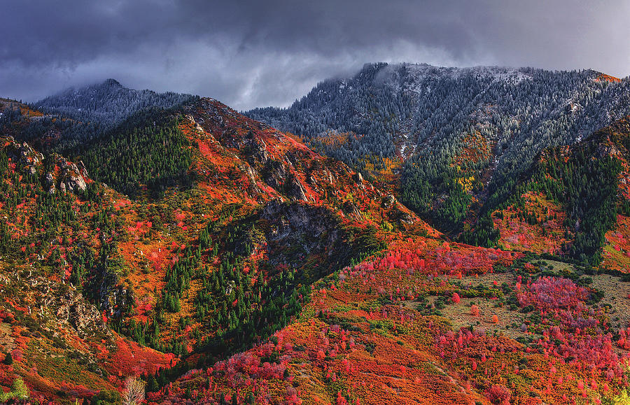 Wasatch Mountains, Transition of Seasons - Utah Photograph by Abbie Warnock