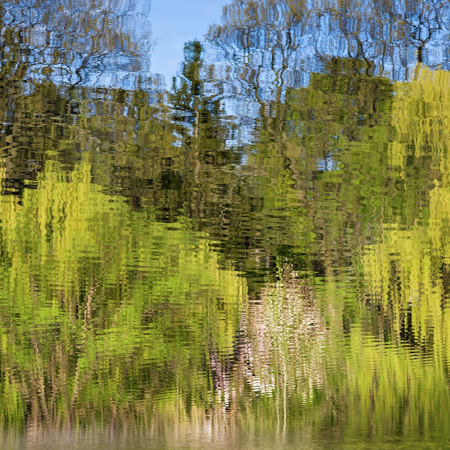 Watercolour Fluid Impressions Photograph by Shankar Adiseshan