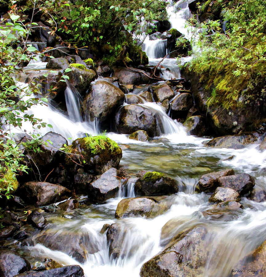 Waterfall Junction Photograph by Barbara Siegel