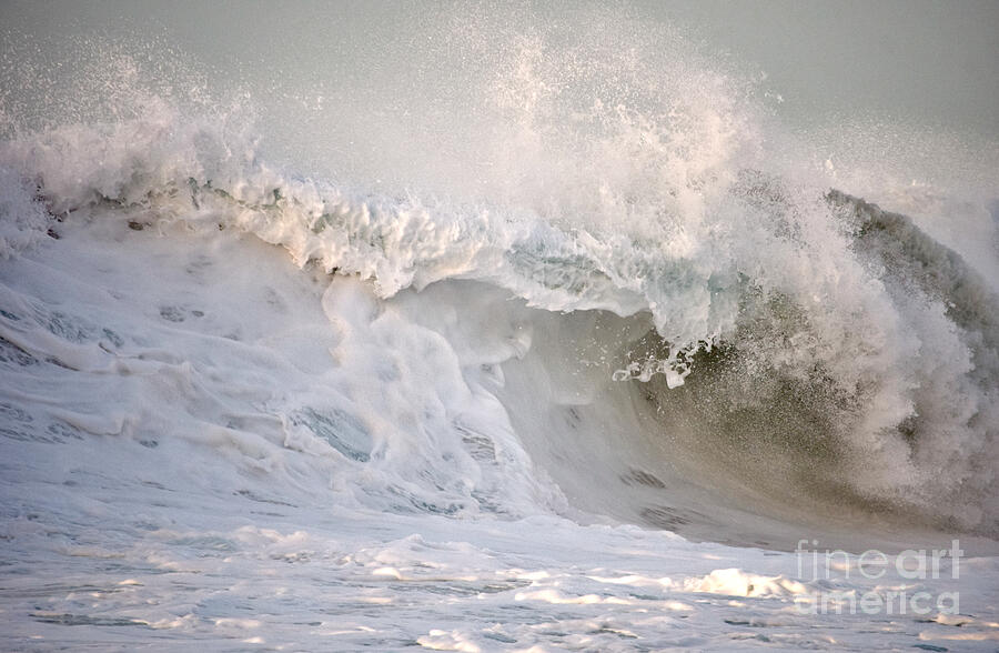 Wave of Cotton Candy Photograph by Debra Banks