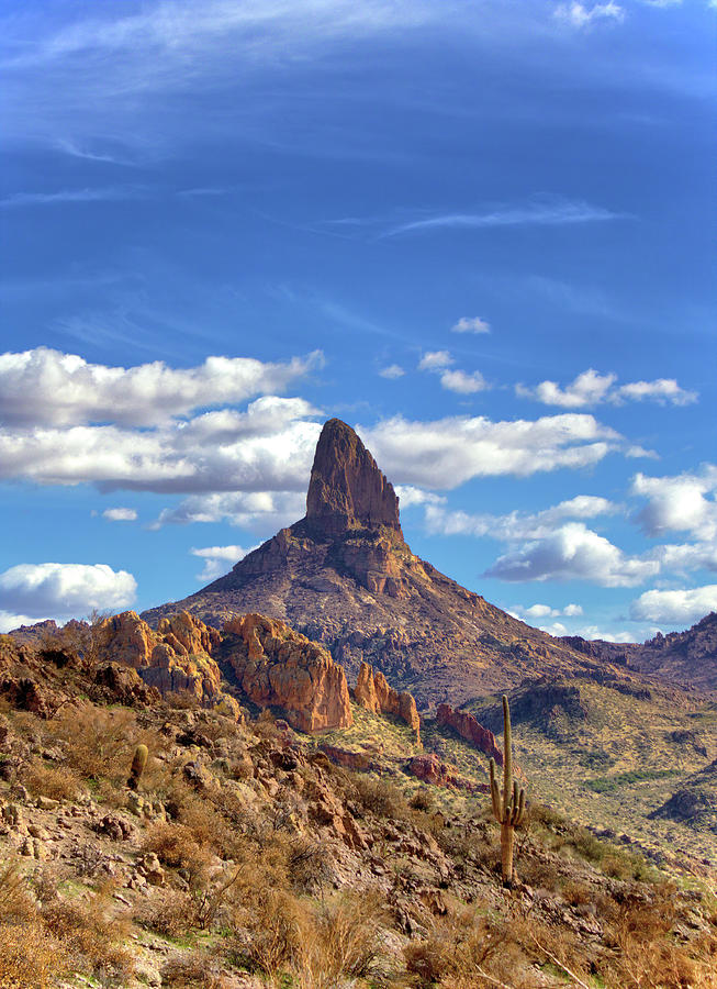 Weavers Needle Photograph by Bob Falcone