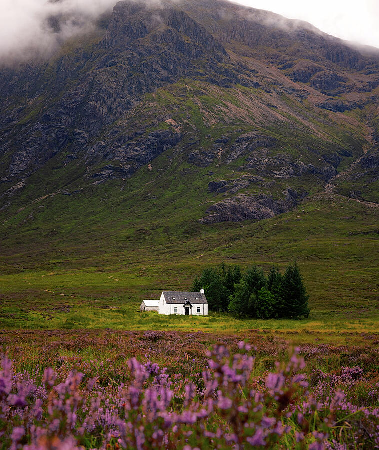 Cottage Nestled Beneath Majestic Mountain Photograph - Wee White House by Kevin Schwalbe