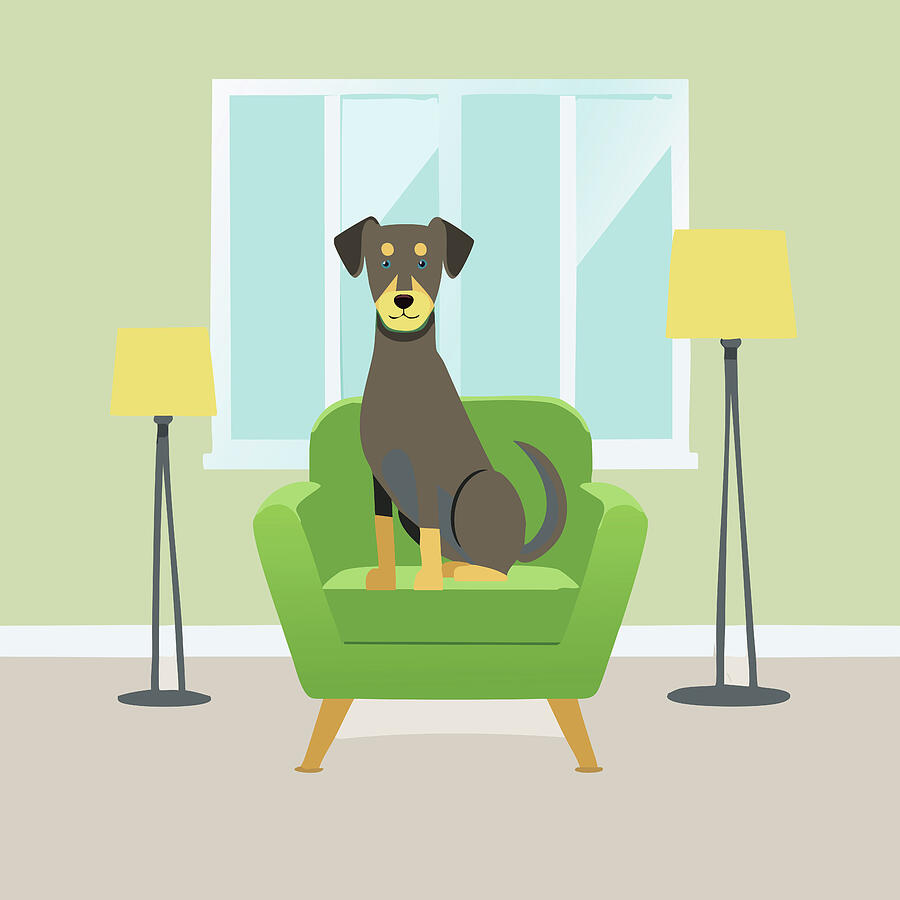 Welcome Home Dog In Chair Digital Art by Dan Sproul