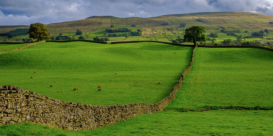 Rolling Hills and Stone Walls Photograph - Wensleydale, Yorkshire by Seeables Visual Arts