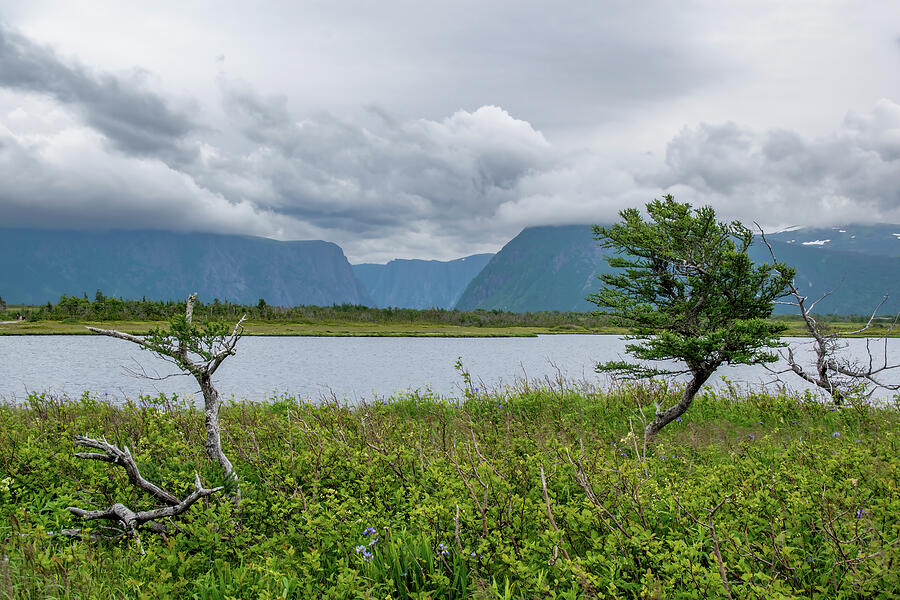 Western Brook Pond Trail, Gros Morne, Newfoundland by John Twynam