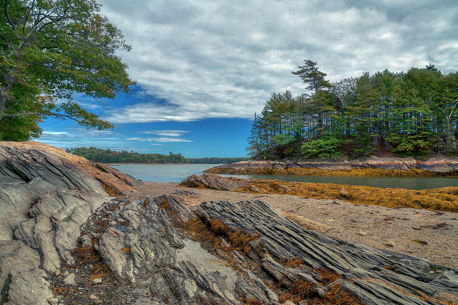 What a View Photograph by Penny Polakoff