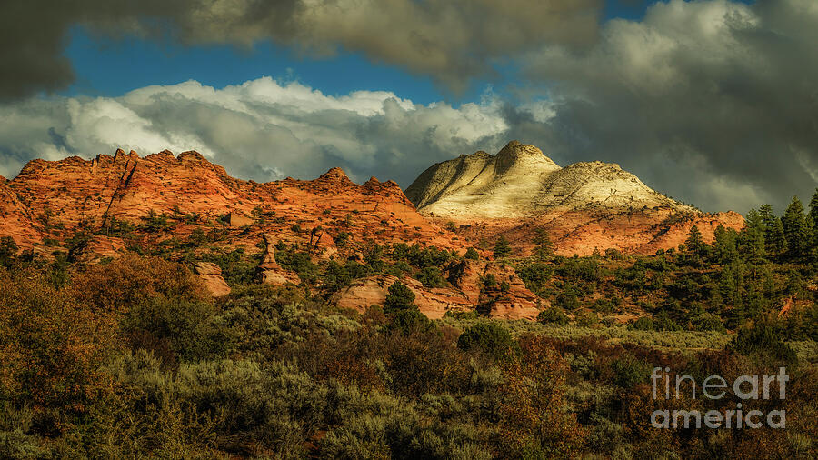 Sunlit Red Rock Mountains Photograph - Where the Cliffs Awaken by Dodie Ross