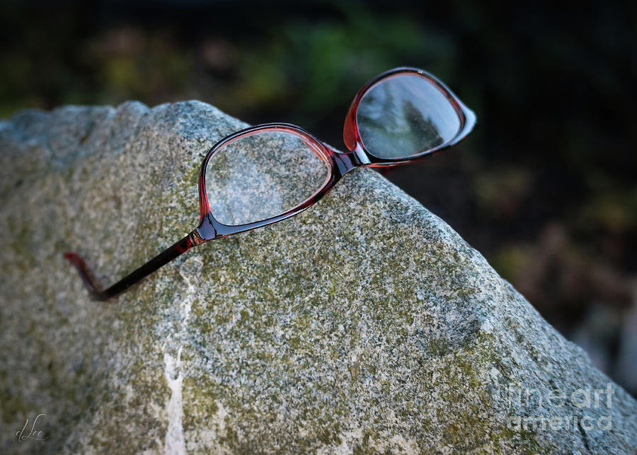 Wheres My Glasses Photograph by D Lee