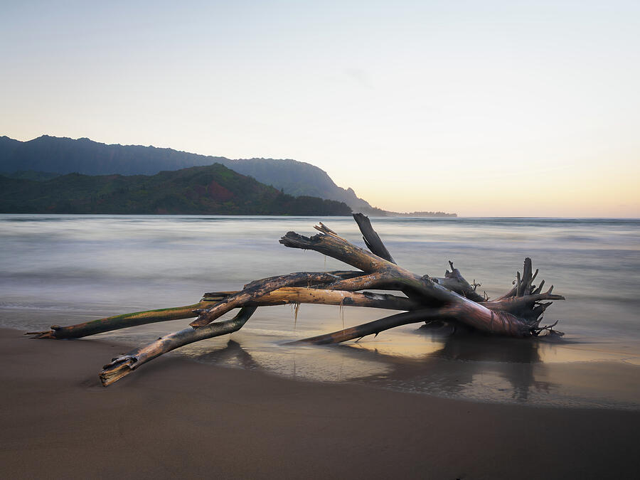 Driftwood on Serene Beach Photograph - Whisper of the Tide driftwood on Hanalei bay beach at sunrise by Steven Heap