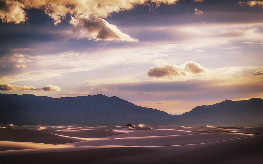 Serene Desert Landscape at Sunset Photograph - Whispering Sands at Sunset by Kevin Schwalbe