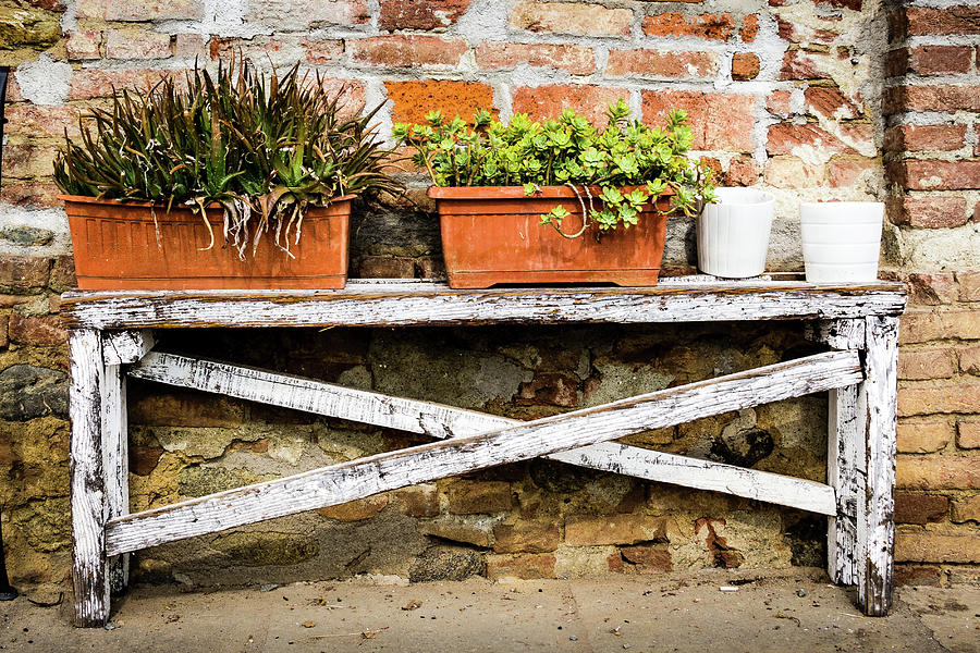 White bench with planters Photograph by Craig A Walker