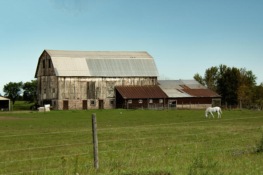 White Horse Barn Photograph by Vi Ray