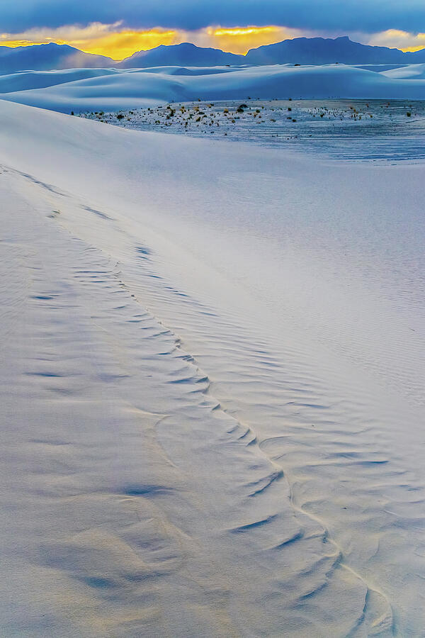 White Sands New Mexico Photograph by Tommy Farnsworth