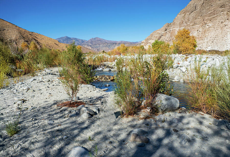 Whitewater River Photograph by Joe Schofield