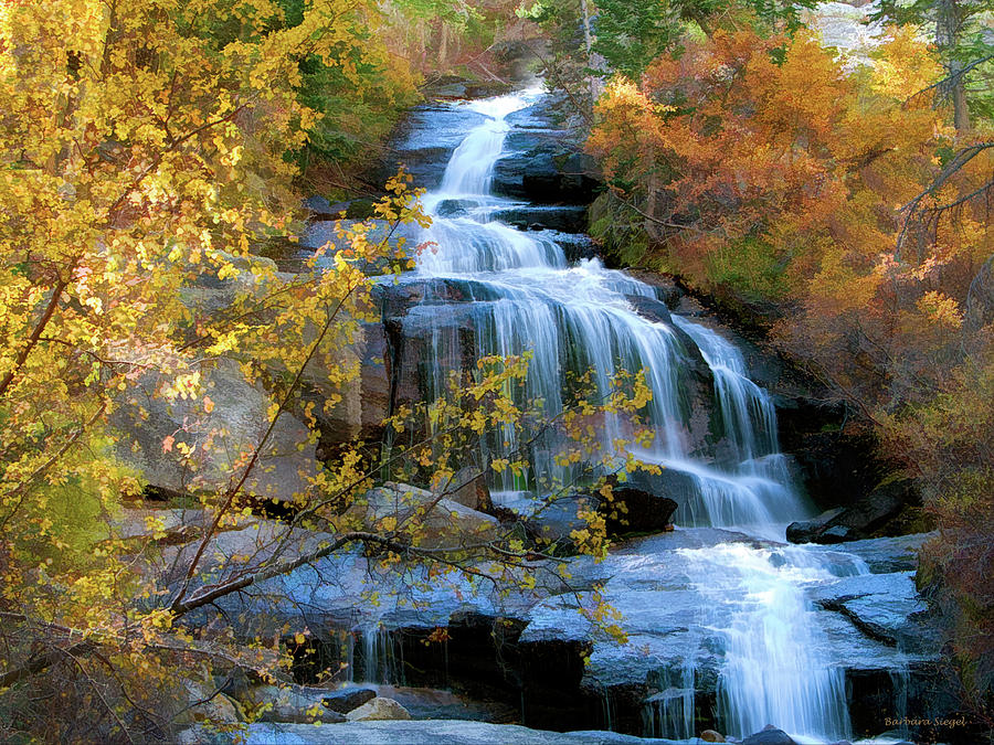 Whitney Portal Waterfalls Photograph by Barbara Siegel