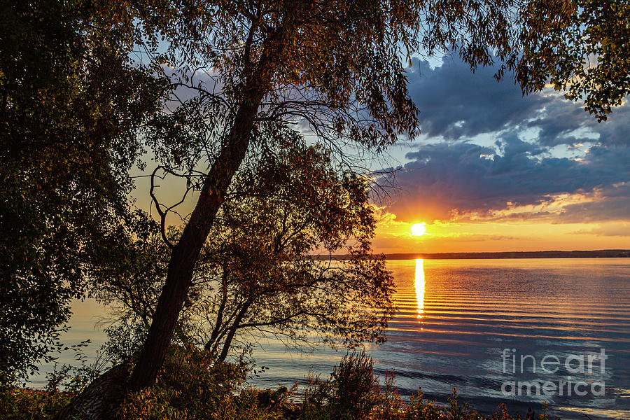 Who Needs the Tropics Photograph by William Norton