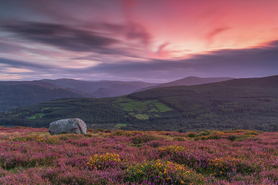 Wicklow Mountains Sunset from Paddock Hill Photograph by Adrian Hendroff