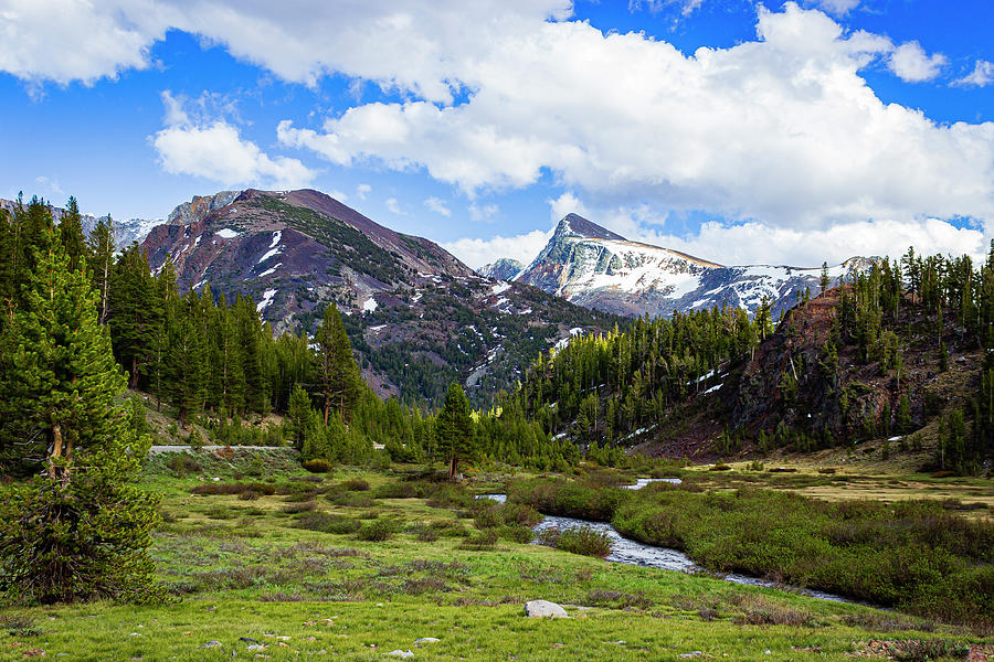 Wilderness Photograph by David Fountain