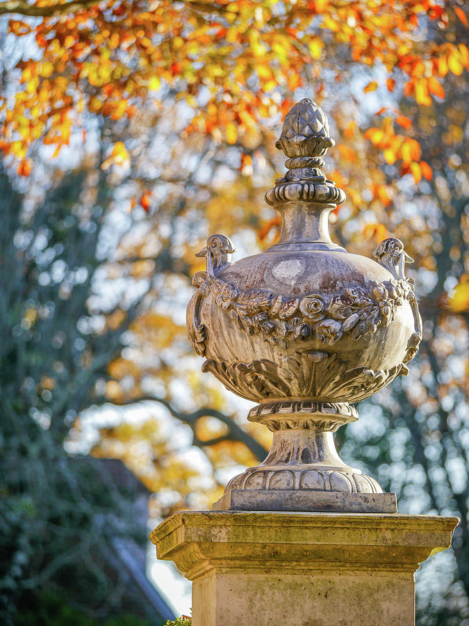 Williamsburg Garden Ornament in Fall Photograph by Rachel Morrison