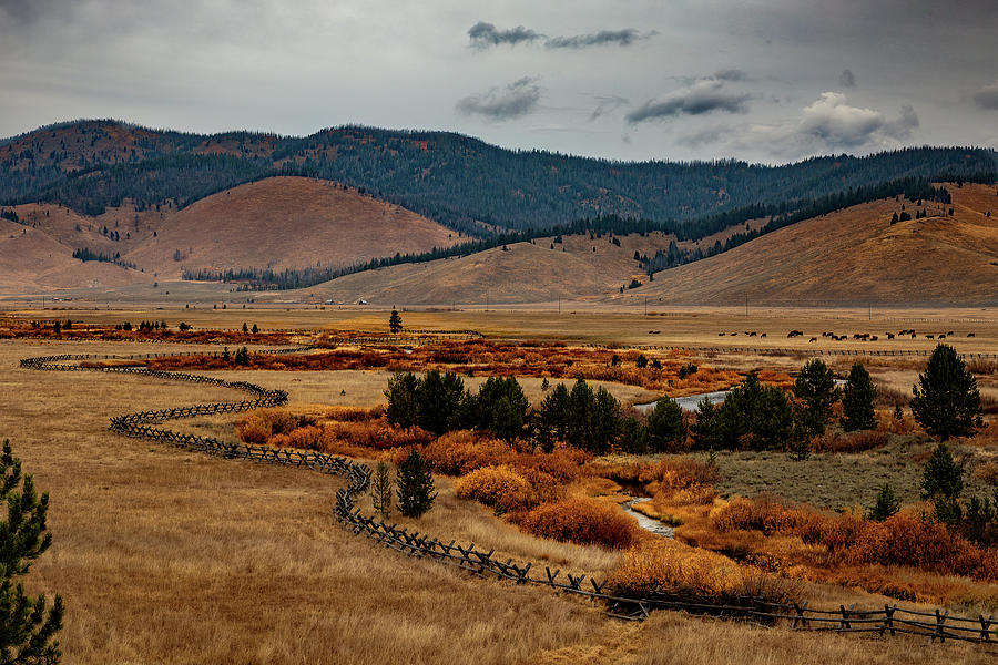 Winding Down Photograph by Tim Lyden