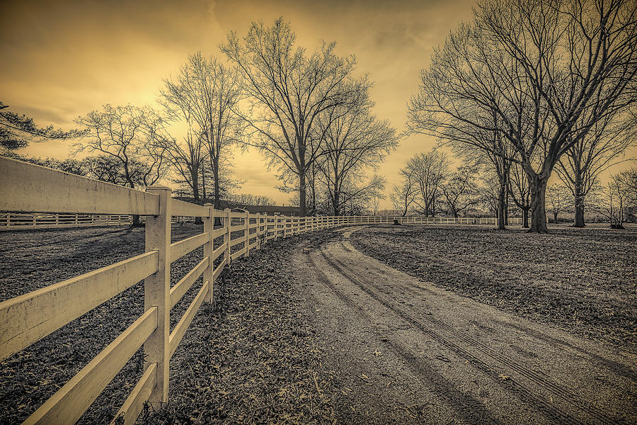 Winding Road Photograph by Penny Polakoff
