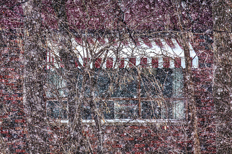 Snowy Window with Striped Awning Photograph - Window Behind Branches in Heavy Snow by Tatiana Travelways