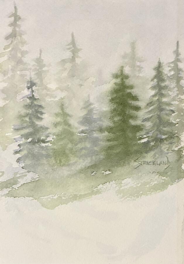 Misty Forest Landscape Painting - Winter Evergreens by Judy Strickland