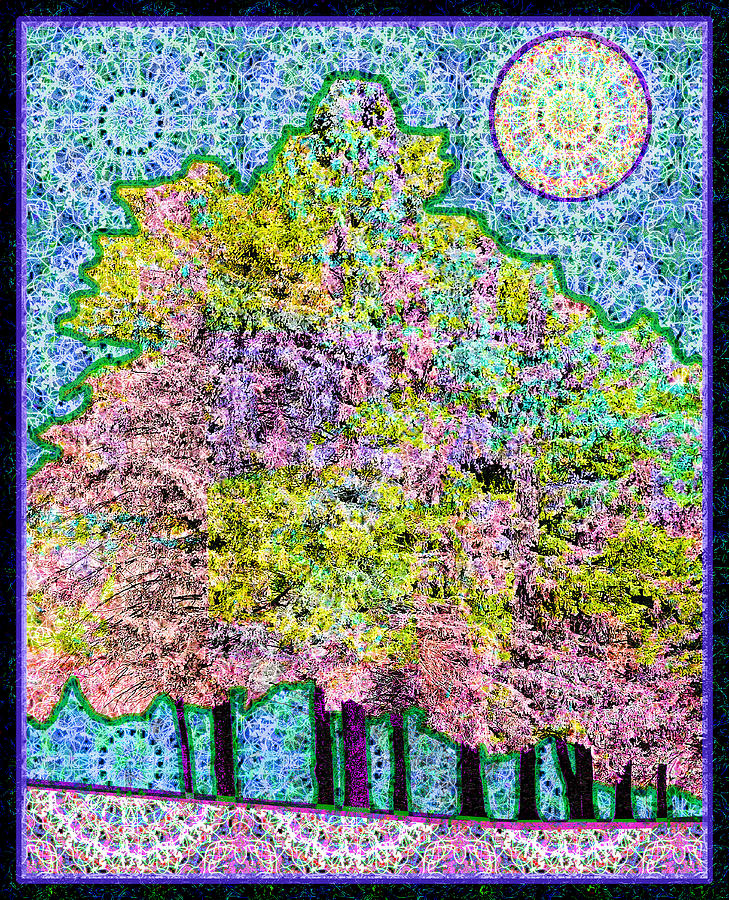 Winter Trees Digital Art by Rod Whyte