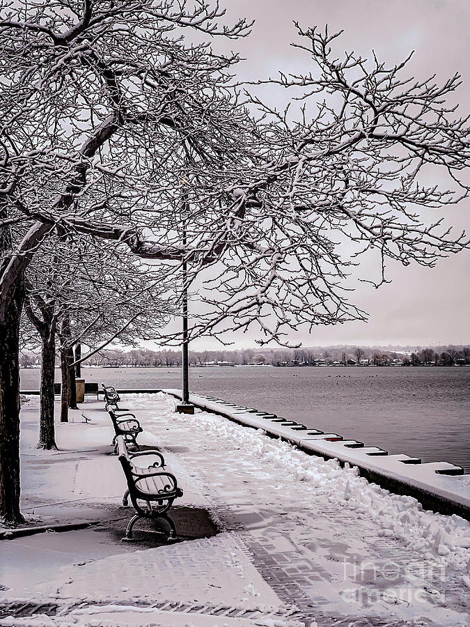 Winter Waterfromt Photograph by William Norton