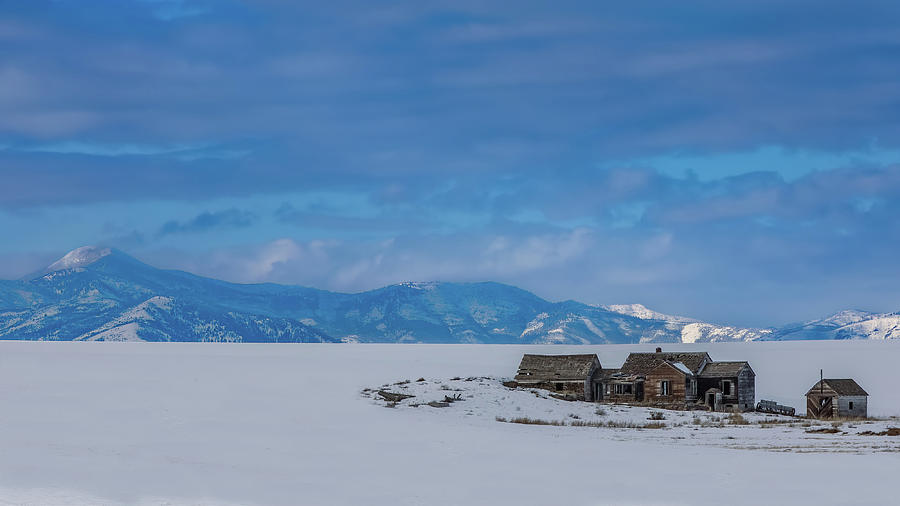 Winters Isolation Photograph by Michael DeGrenier