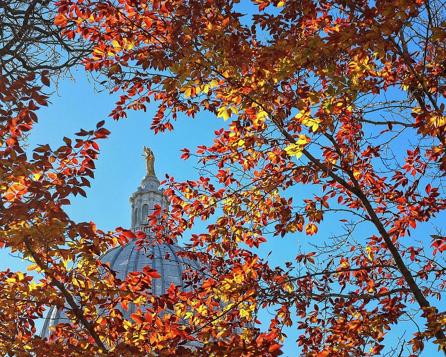 Wisconsin Capitol Fall 2 Photograph by Steven Ralser