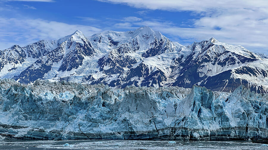 Wonderstruck Photograph by Dodie Ross