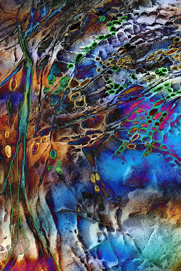 Wood and Stones Photograph by Ursula Abresch