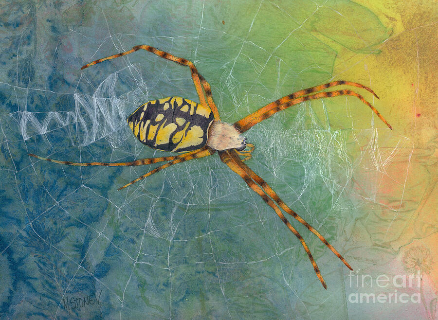 Writing Spider-Argiope aurantia Painting by Marie Stone-van Vuuren