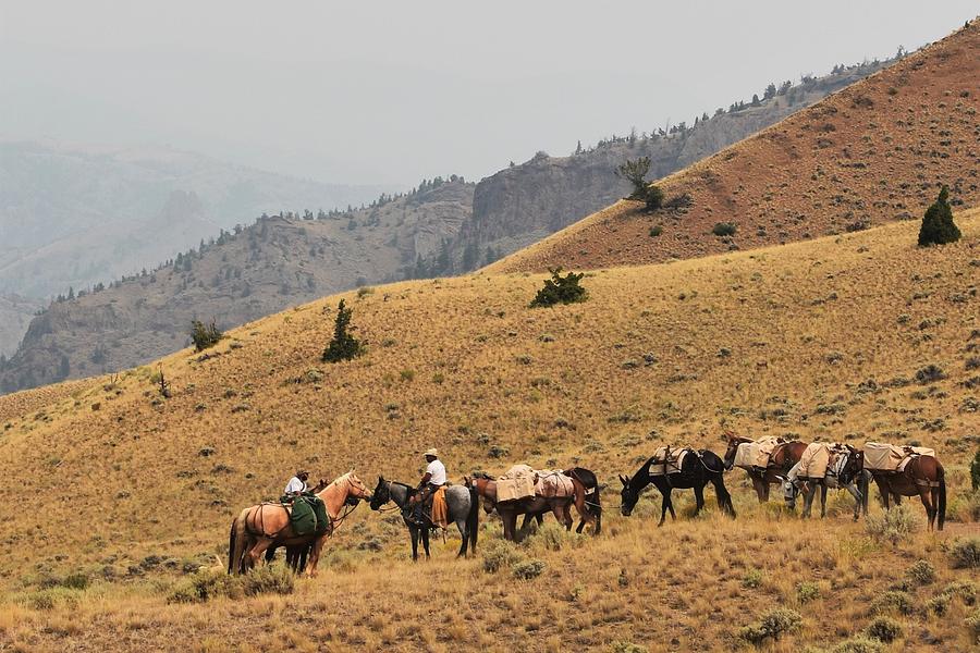 Wyoming Meet n Greet Photograph by Alden White Ballard