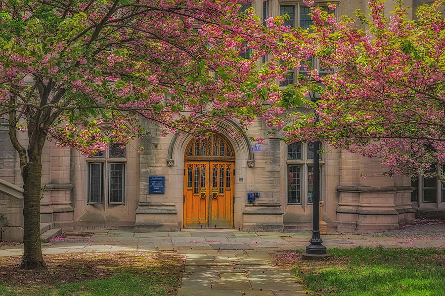 Yale Sheffield Sterling Photograph by Susan Candelario