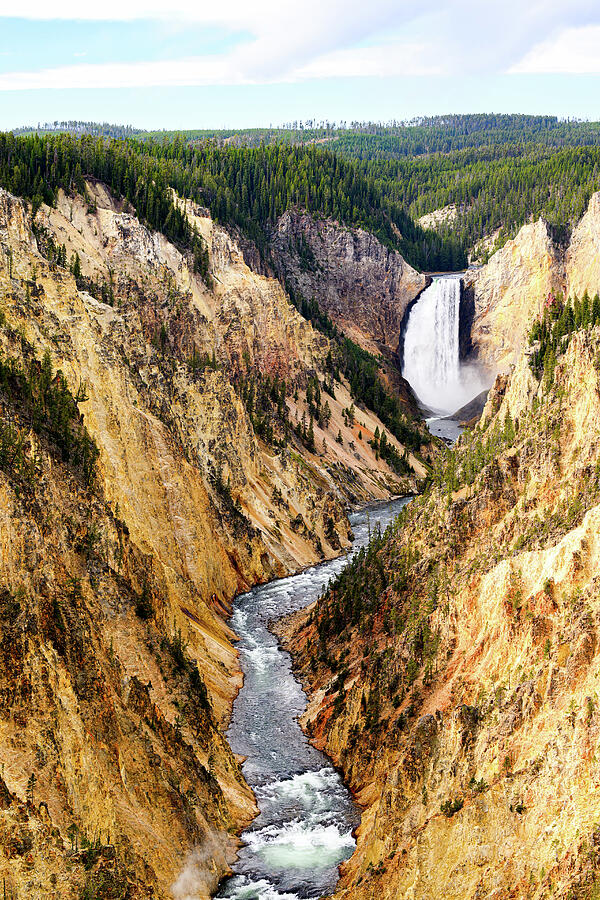 Yellowstone Lower Falls Photograph by William D Briscoe