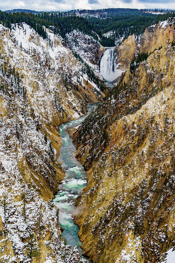 Yellowstone River Canyon Photograph by Tommy Farnsworth