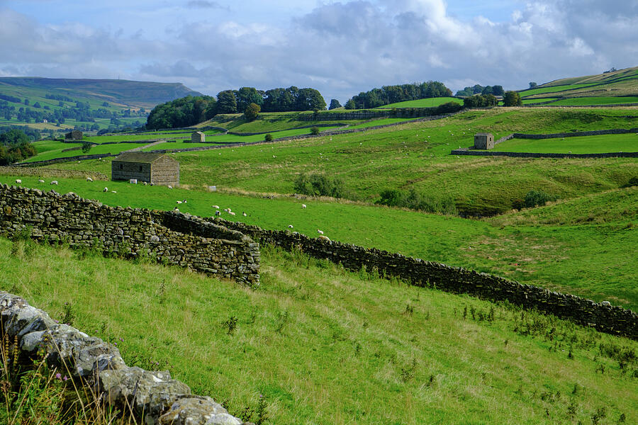 Rolling Hills and Stone Walls Photograph - Yorkshire Dales by Seeables Visual Arts