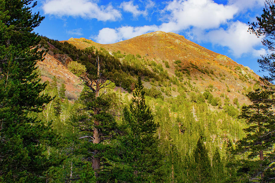 Yosemite Peak Framed Photograph by David Fountain