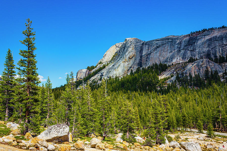 Yosemite Rock Slope Photograph by David Fountain