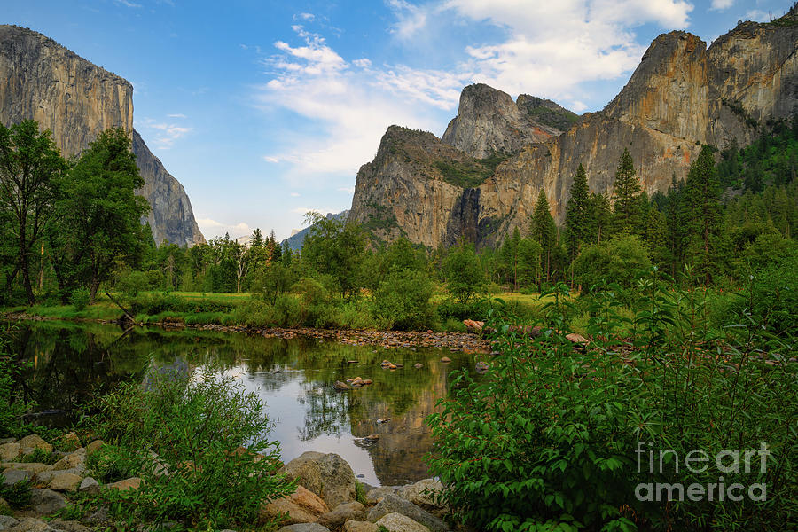 Yosemite Valley, Yosemite National Park Photograph by Abigail Diane Photography