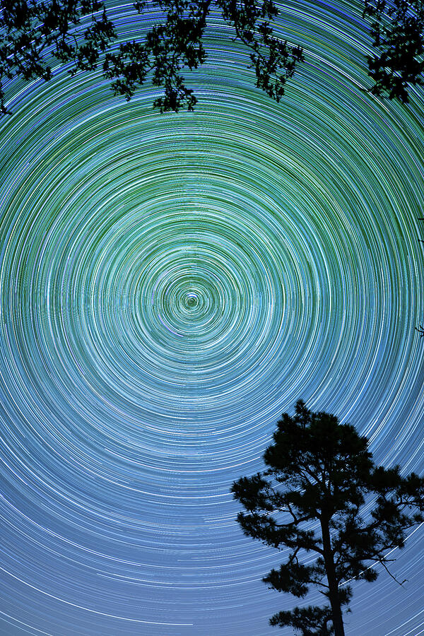 You Spin Me Round Photograph by KC Hulsman