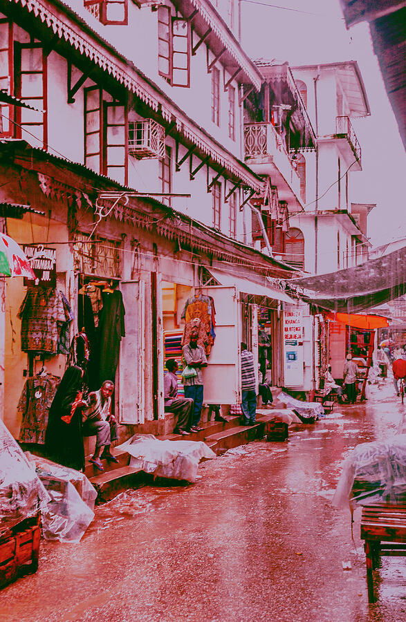 Zanzibar Tanzania East Africa Travel Reportage circa 2004 3529-1 Photograph by Neptune Ivy