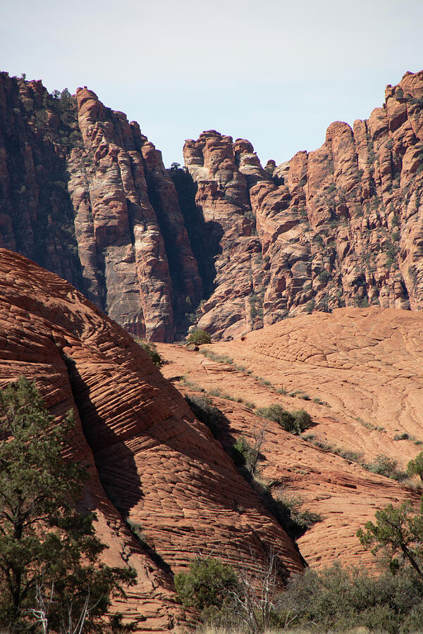 Zion_9863 Photograph by Linda Triplett
