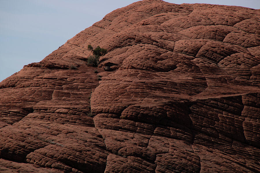 Zion_9877 Photograph by Linda Triplett
