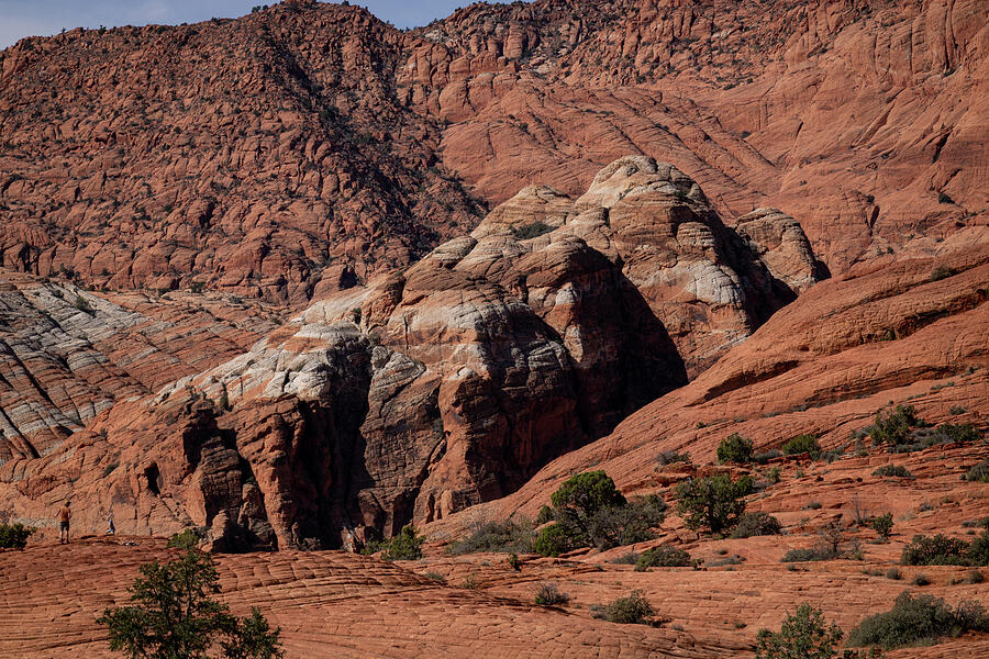 Zion_9899 Photograph by Linda Triplett